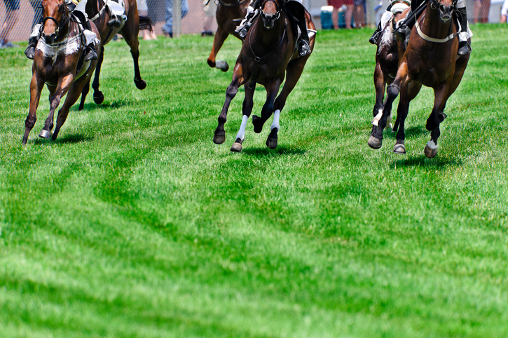 オークス2024」radikoで春の競馬中継を聴こう | 無料のアプリでラジオ 